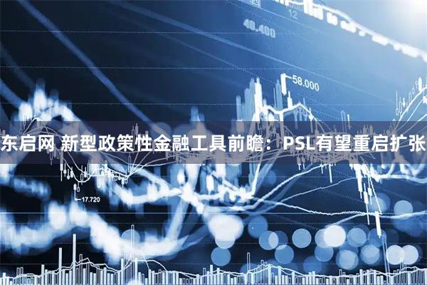 东启网 新型政策性金融工具前瞻：PSL有望重启扩张