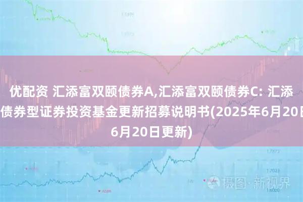 优配资 汇添富双颐债券A,汇添富双颐债券C: 汇添富双颐债券型证券投资基金更新招募说明书(2025年6月20日更新)
