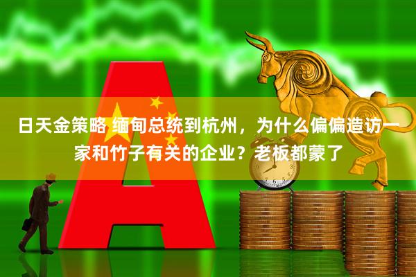 日天金策略 缅甸总统到杭州，为什么偏偏造访一家和竹子有关的企业？老板都蒙了